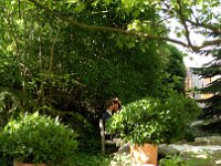IMG 20160625 165946