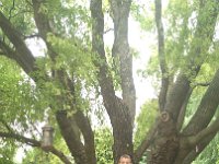 IMG 20160626 090450