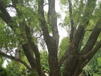 IMG 20160626 090503