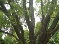 IMG 20160626 090504