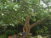 IMG 20160626 090540