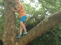 IMG 20160626 090608