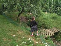 IMG 20160806 101352