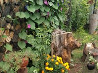 IMG 20160806 101431
