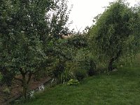 IMG 20160806 101446