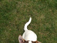 IMG 20160806 102619