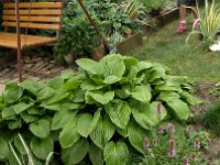 IMG 20160806 110344