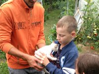 IMG 20160806 110356