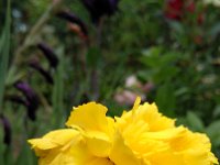 IMG 20160806 111930