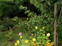 IMG 20160806 133117