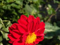 IMG 20160807 080314