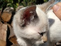 IMG 20160807 095924
