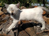 IMG 20160807 095940