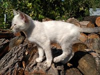 IMG 20160807 095950