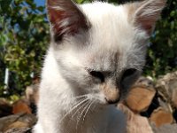 IMG 20160807 095957
