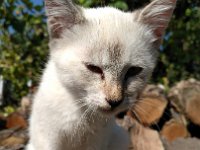 IMG 20160807 095958